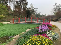 -秀丽东方