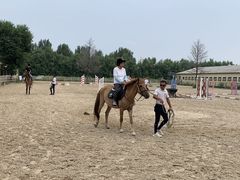 -北京群众马术培训基地