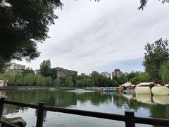 -莲湖公园