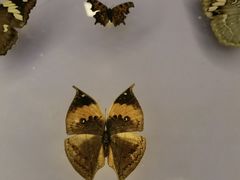 -下渚湖国家湿地公园科普馆