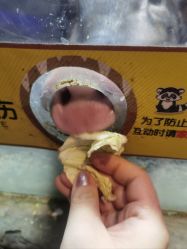-未来动物城主题公园(正弘城店)