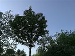 -辽宁大学(崇山校区)