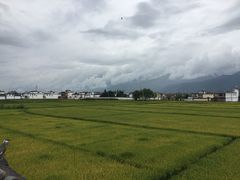 喜林苑咖啡厅-喜林苑·稻田餐厅(品相府店)
