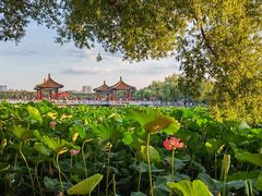 -长春市南湖公园