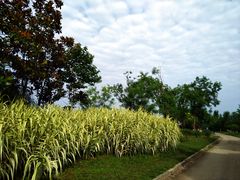 -白鹭湾湿地公园