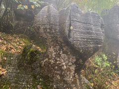 -山王坪喀斯特国家生态公园