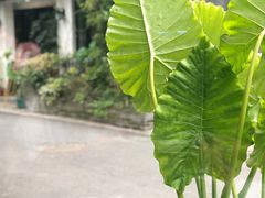 -春暖花开(西溪店)
