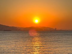 -溪岸路花鸟市场