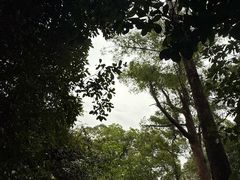 -火炉山森林公园