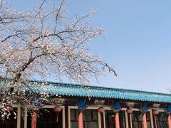 -野鸭湖国家湿地公园