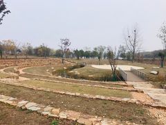 -盘龙城国家考古遗址公园