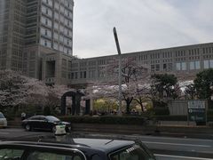 -东京都厅舍