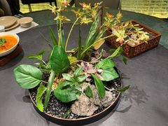 -锦府盐帮·私宴(赛特店)