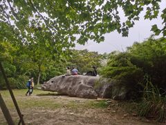 -上海吴淞炮台湾国家湿地公园