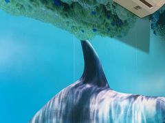 -小海豚•老字号海鲜餐厅(天涯店)