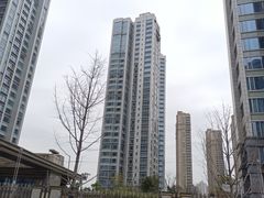 -高·尚领域