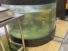 -聚鑫阁江浙菜·非遗传承技艺(青村帝华园店)