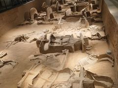 -洛阳周王城天子驾六博物馆