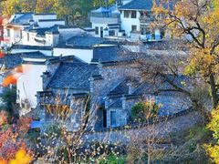 -塔川景区