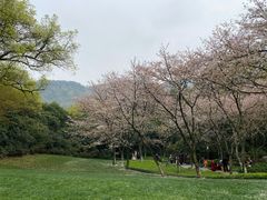 -中国茶叶博物馆(双峰馆区)