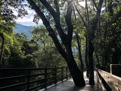 -野象谷景区