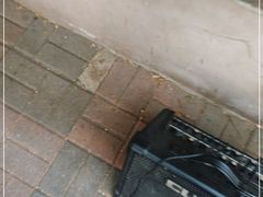 -大象厨房(重庆道店)