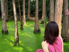 -云龙湖旅游景区