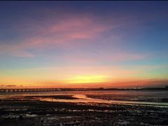 -宝安西湾红树林湿地公园