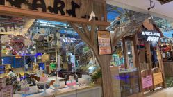 -卡通尼·Safari非洲探索乐园·生日会(金桥国际商业广场店)