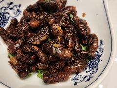 -古萧汪家羊肉馆(龙山路总店)