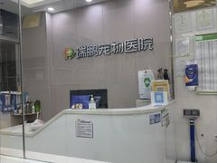 -瑞鹏宠物医院华南总院·夜诊·心脏科·骨科