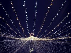 -广州长隆国际大马戏