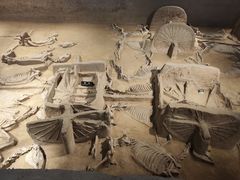 -洛阳周王城天子驾六博物馆