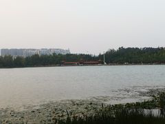 -洛龙公园