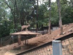 -昆明动物园