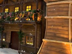 -世界之窗阿尔卑斯冰雪世界