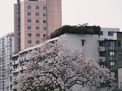 -红星桥(地铁站)