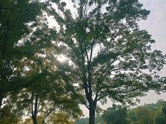-东湖落雁景区