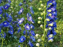 -国家植物园南园