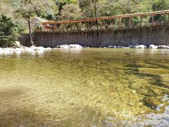 -青峰峡国家森林公园