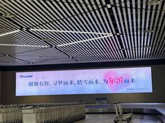 -哈尔滨太平国际机场-T2航站楼