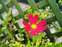 -美家乐农庄·露营·团建(大治路店)