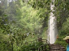 -莫里热带雨林景区
