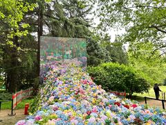 -上海共青森林公园