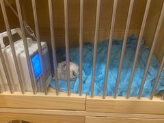 -康旭宠物医院(郑州总院)