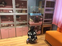 -藦茜花园宠物主题亲子互动体验馆(国顺东路店)