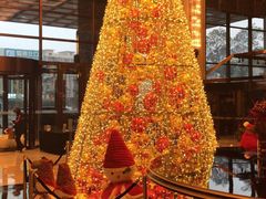 -长沙富力万达文华酒店