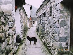 -鹿亭中村