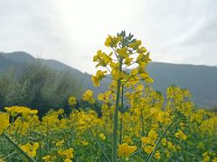 -石砭峪水库