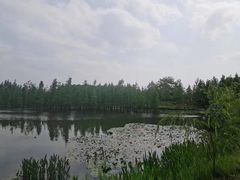 -白鹭湾湿地公园